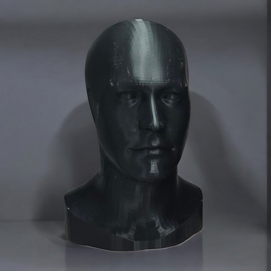 Facial Features Mannequin Display Bust